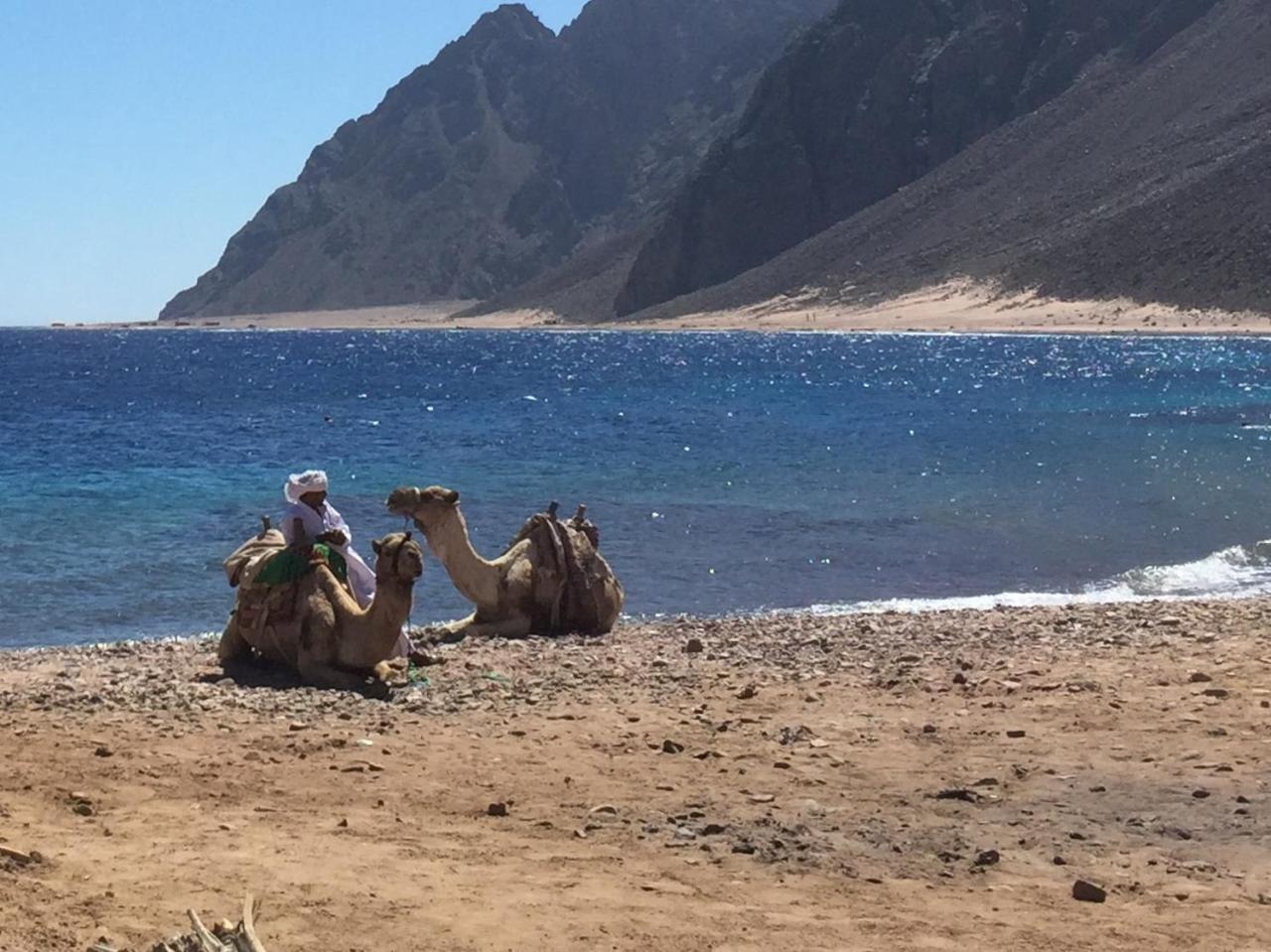 Inmo Divers Home Dahab Ngoại thất bức ảnh